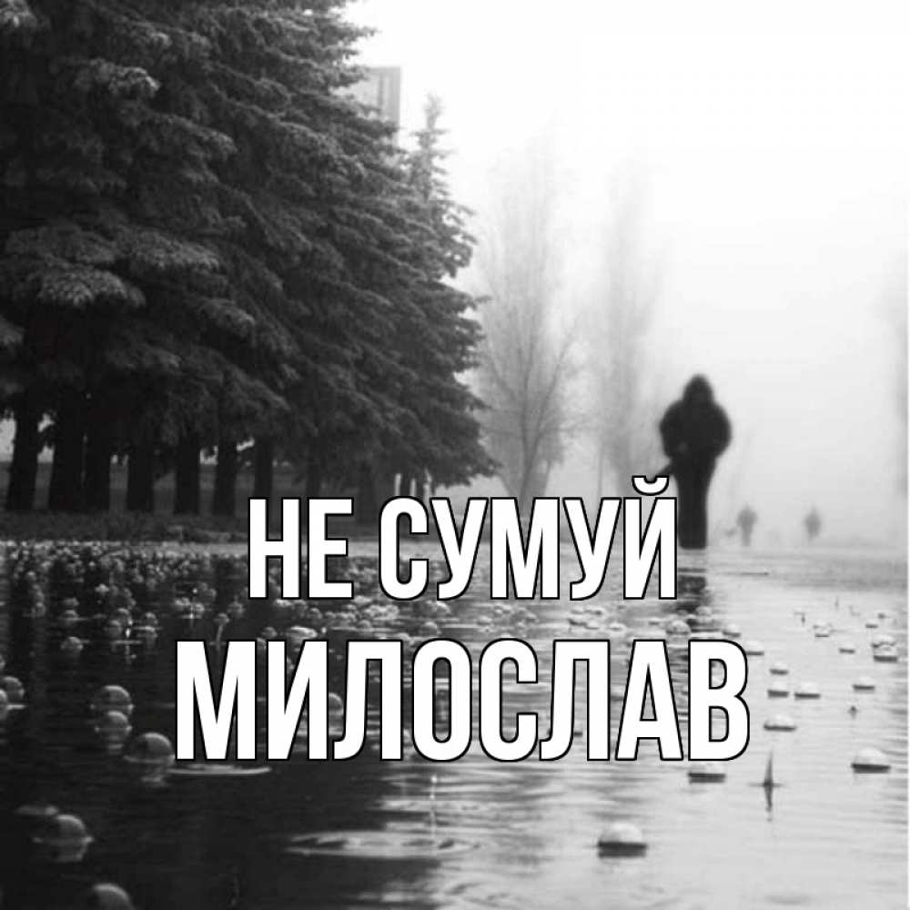 Открытка на каждый день з підписом, Милослав Не сумуй улица под дождем Прикольна листівка з побажанням онлайн скачати безкоштовно 