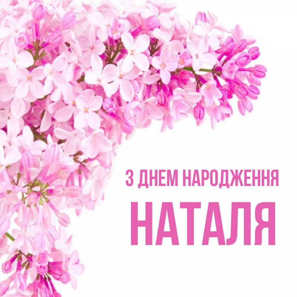 Открытка на каждый день з підписом, Наталя З Днем народження Сирень на белом фоне Прикольна листівка з побажанням онлайн скачати безкоштовно 
