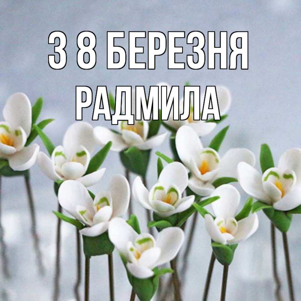 Открытка на каждый день з підписом, Радмила З 8 БЕРЕЗНЯ весенние цветы Прикольна листівка з побажанням онлайн скачати безкоштовно 