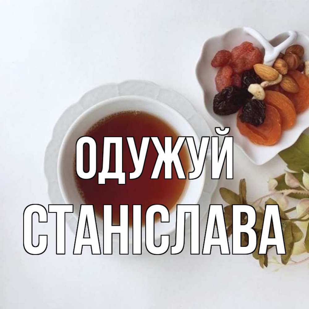 Открытка на каждый день з підписом, Станіслава Одужуй неизвестные растения Прикольна листівка з побажанням онлайн скачати безкоштовно 