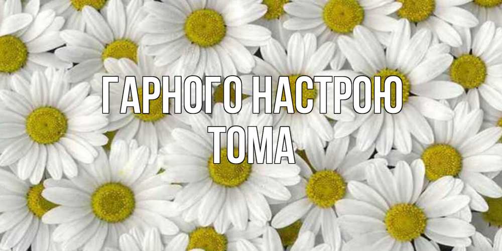 Открытка на каждый день з підписом, Тома Гарного настрою поляна ромашек Прикольна листівка з побажанням онлайн скачати безкоштовно 