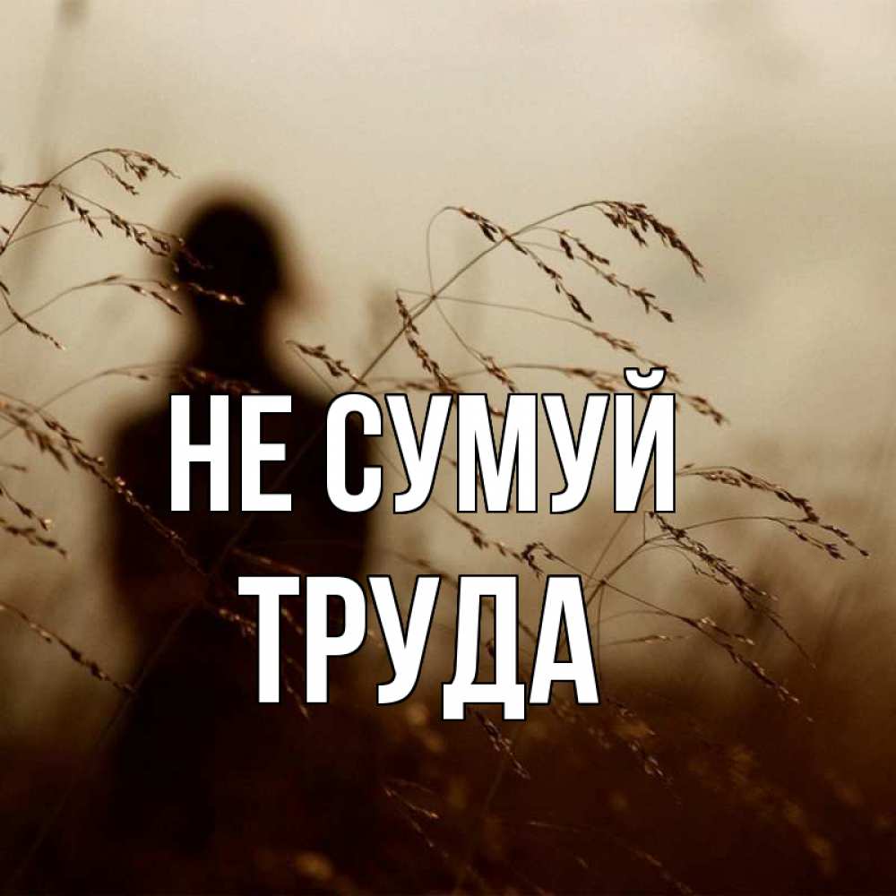 Открытка на каждый день з підписом, Труда Не сумуй грусть Прикольна листівка з побажанням онлайн скачати безкоштовно 
