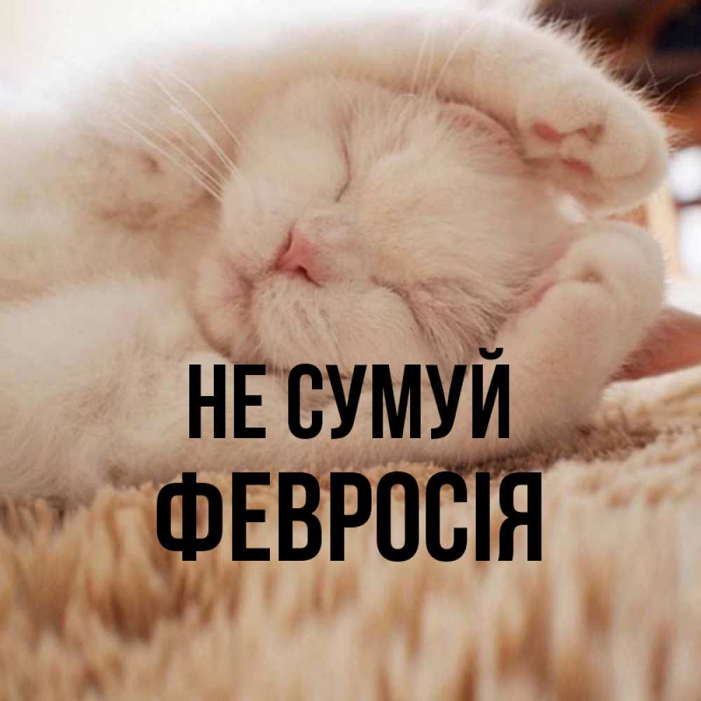 Открытка на каждый день з підписом, Февросія Не сумуй Котенок спит Прикольна листівка з побажанням онлайн скачати безкоштовно 