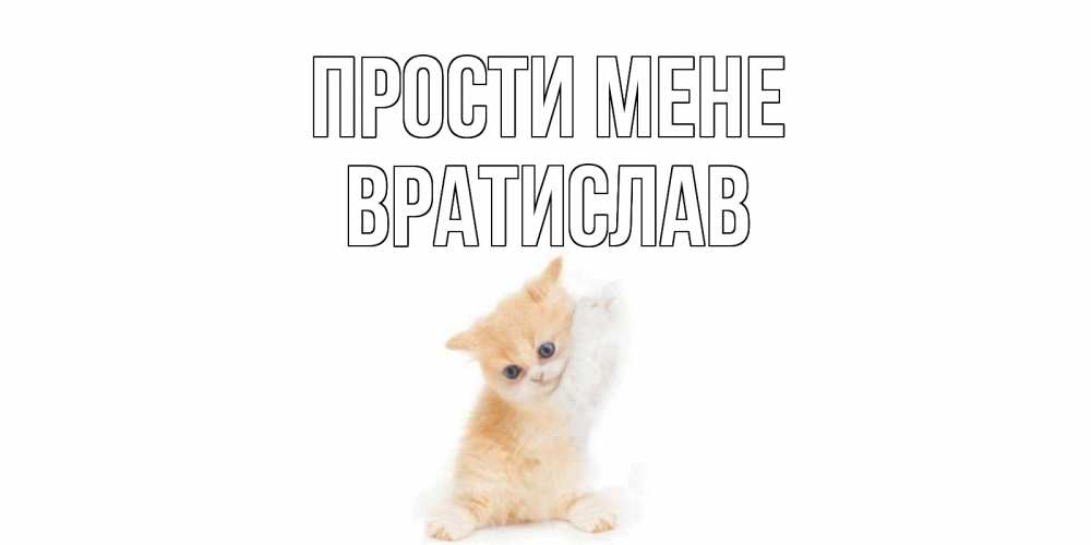 Открытка на каждый день з підписом, Вратислав Прости мене кот Прикольна листівка з побажанням онлайн скачати безкоштовно 