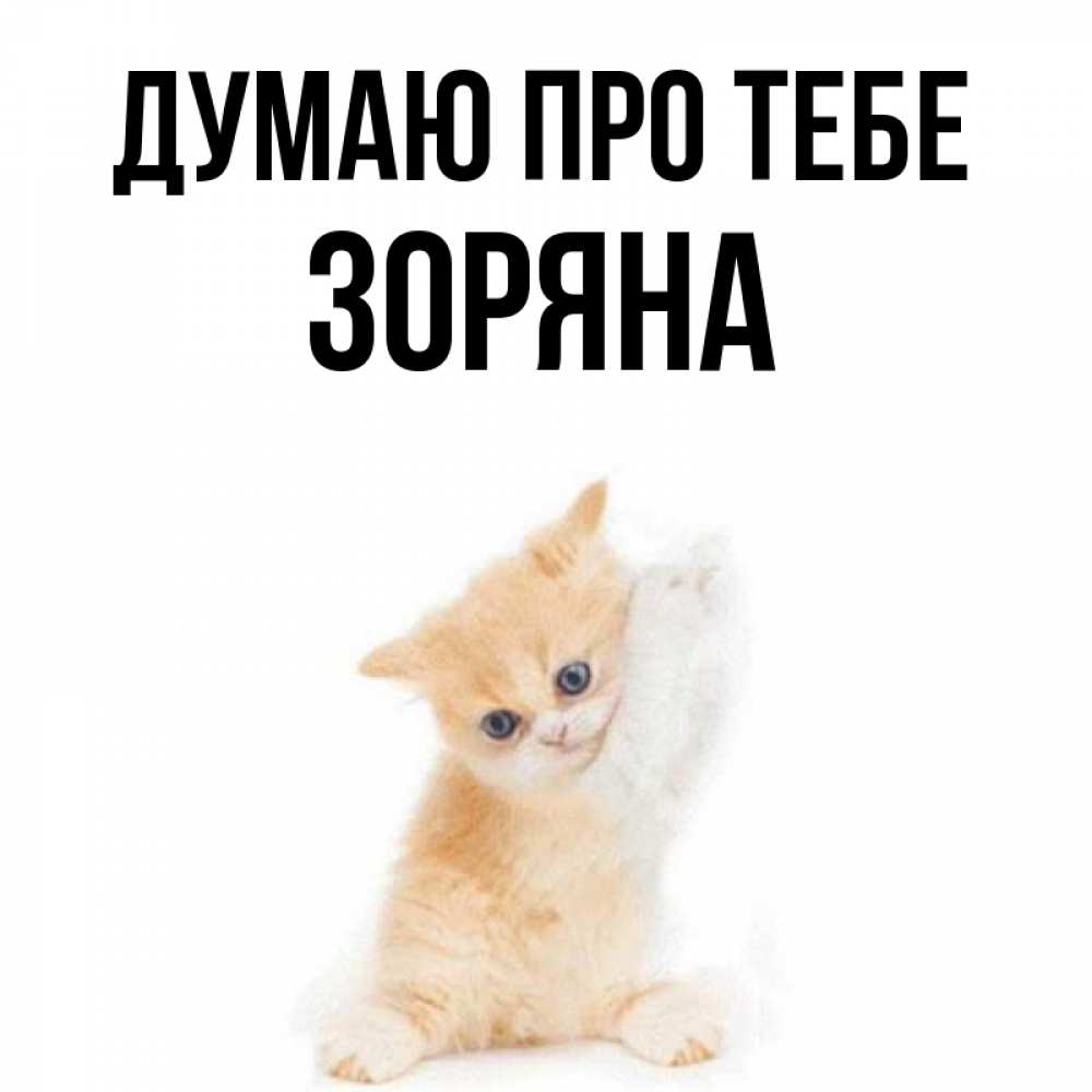 Открытка на каждый день з підписом, Зоряна Думаю про тебе зверушки и милота Прикольна листівка з побажанням онлайн скачати безкоштовно 