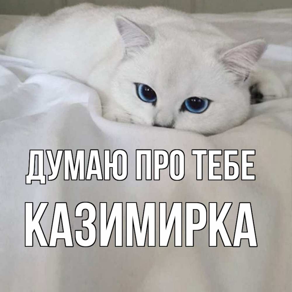 Открытка на каждый день з підписом, Казимирка Думаю про тебе я очень по тебе скучаю и тоскую Прикольна листівка з побажанням онлайн скачати безкоштовно 
