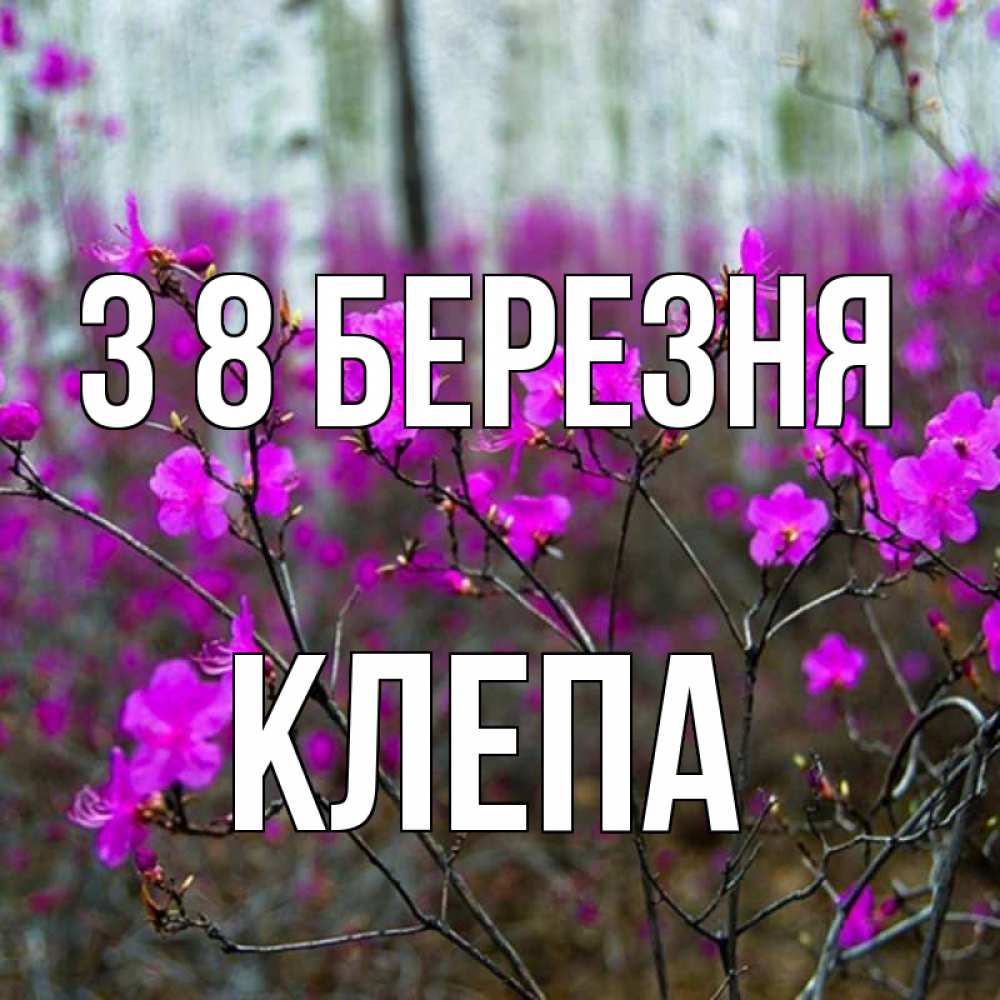 Открытка на каждый день з підписом, Клепа З 8 БЕРЕЗНЯ дикие цветы Прикольна листівка з побажанням онлайн скачати безкоштовно 