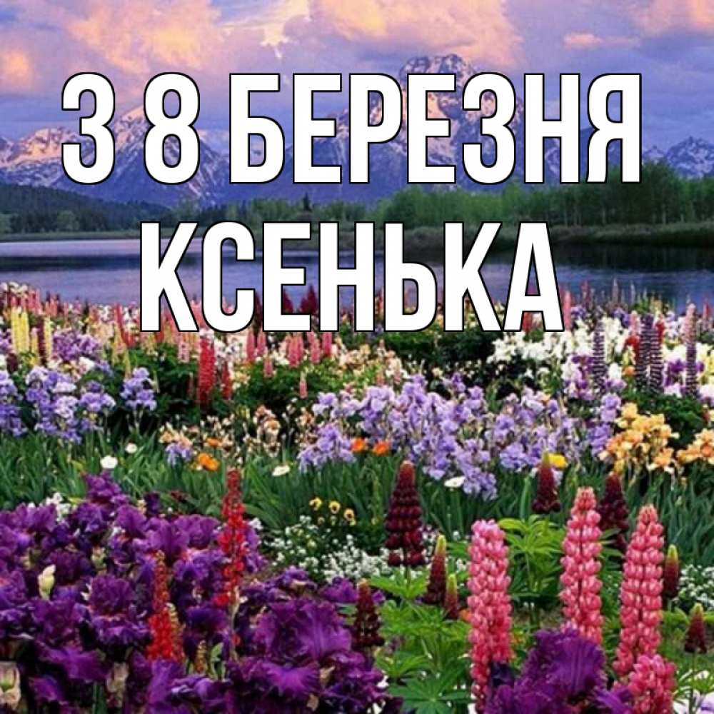 Открытка на каждый день з підписом, Ксенька З 8 БЕРЕЗНЯ международный женский день Прикольна листівка з побажанням онлайн скачати безкоштовно 