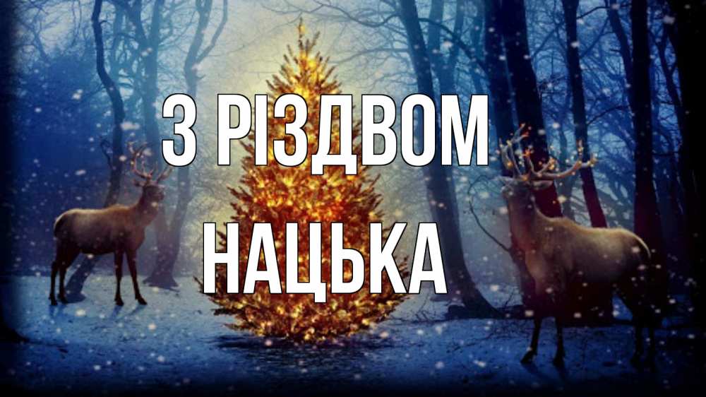 Открытка на каждый день з підписом, Нацька З Різдвом олени, новогодняя елка Прикольна листівка з побажанням онлайн скачати безкоштовно 