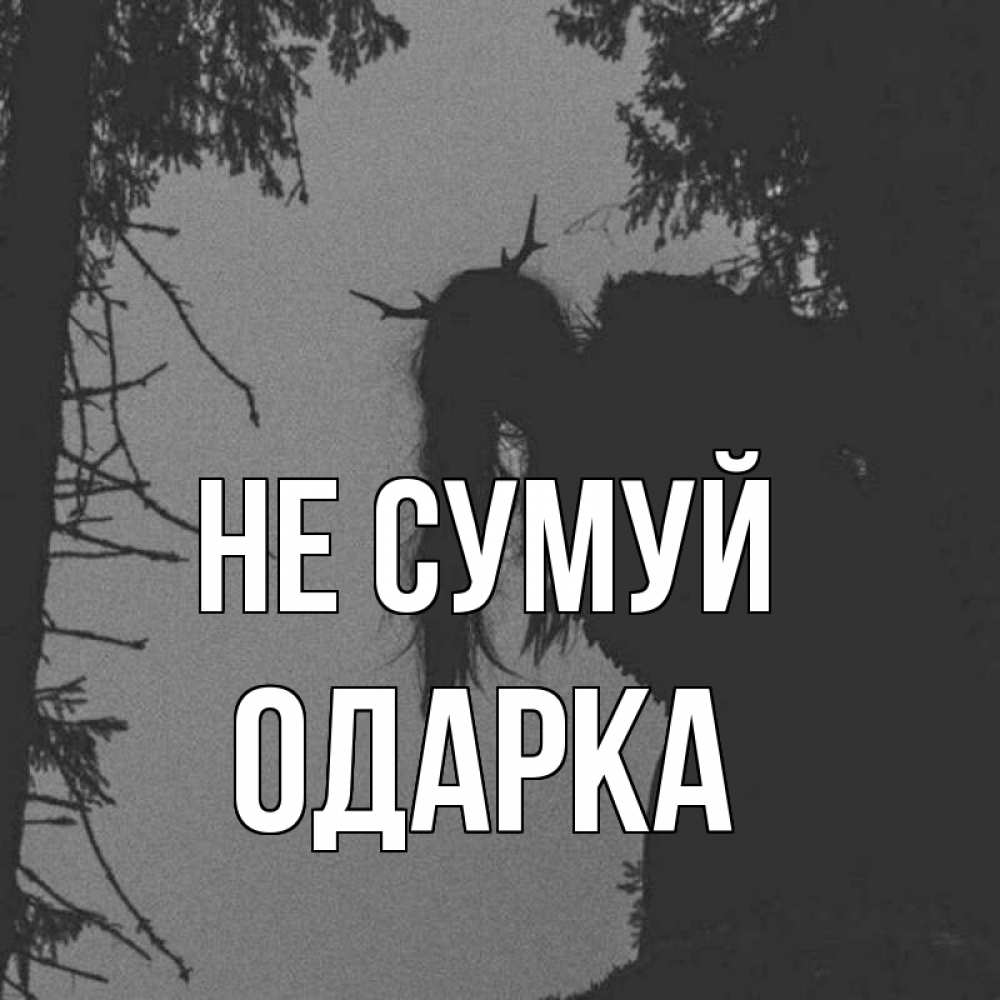 Открытка на каждый день з підписом, Одарка Не сумуй чудище лесное Прикольна листівка з побажанням онлайн скачати безкоштовно 