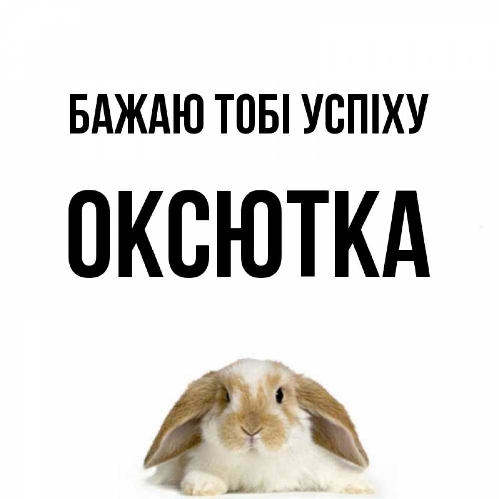 Открытка на каждый день з підписом, Оксютка Бажаю тобі успіху открытки с произвольным текстом который можно вставить в открытку и создать ее самостоятельно бесплатно онлайн Прикольна листівка з побажанням онлайн скачати безкоштовно 