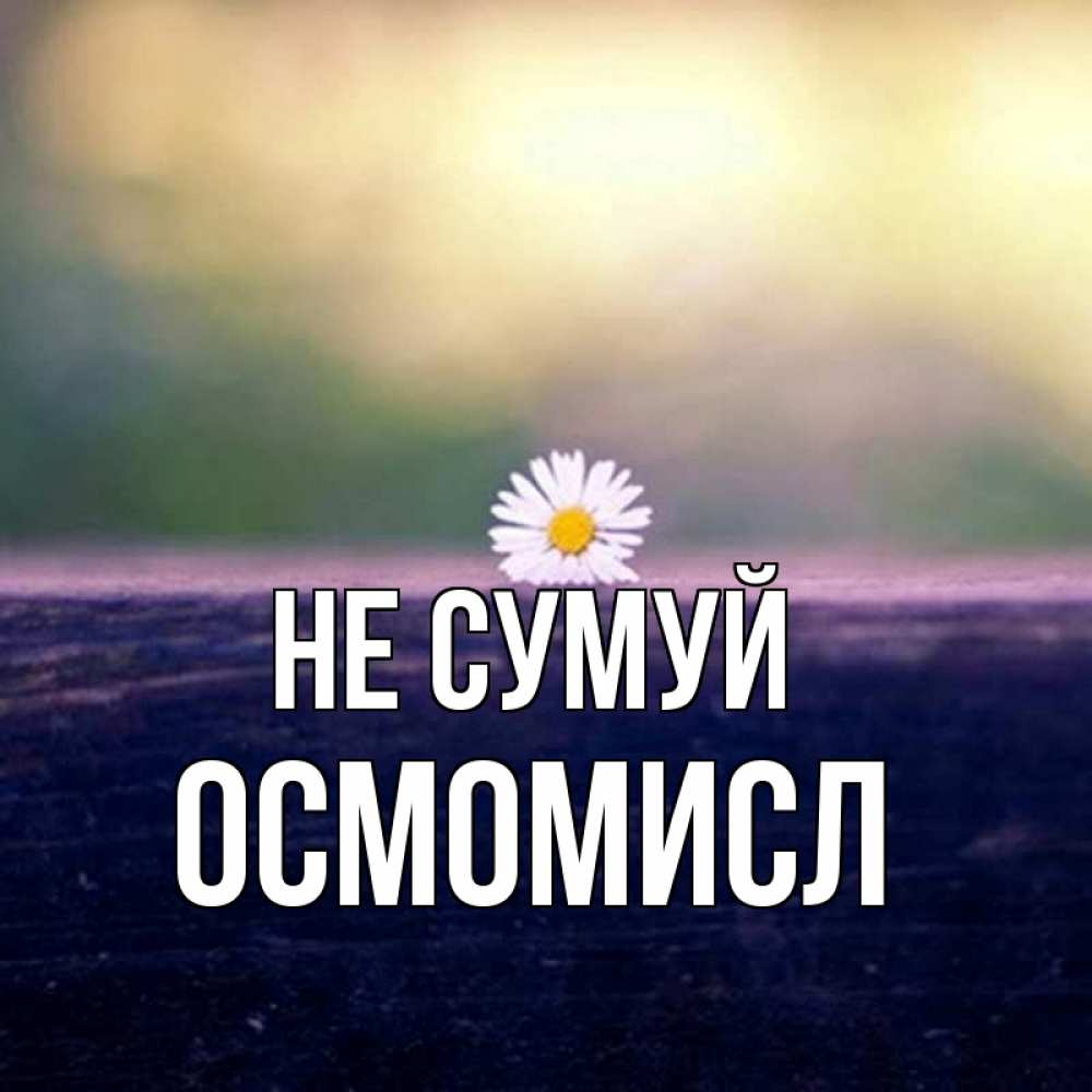Открытка на каждый день з підписом, Осмомисл Не сумуй красота Прикольна листівка з побажанням онлайн скачати безкоштовно 
