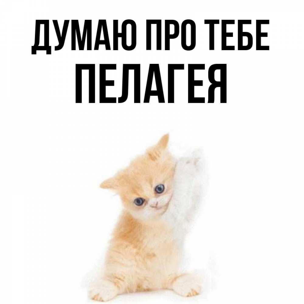 Открытка на каждый день з підписом, Пелагея Думаю про тебе зверушки и милота Прикольна листівка з побажанням онлайн скачати безкоштовно 