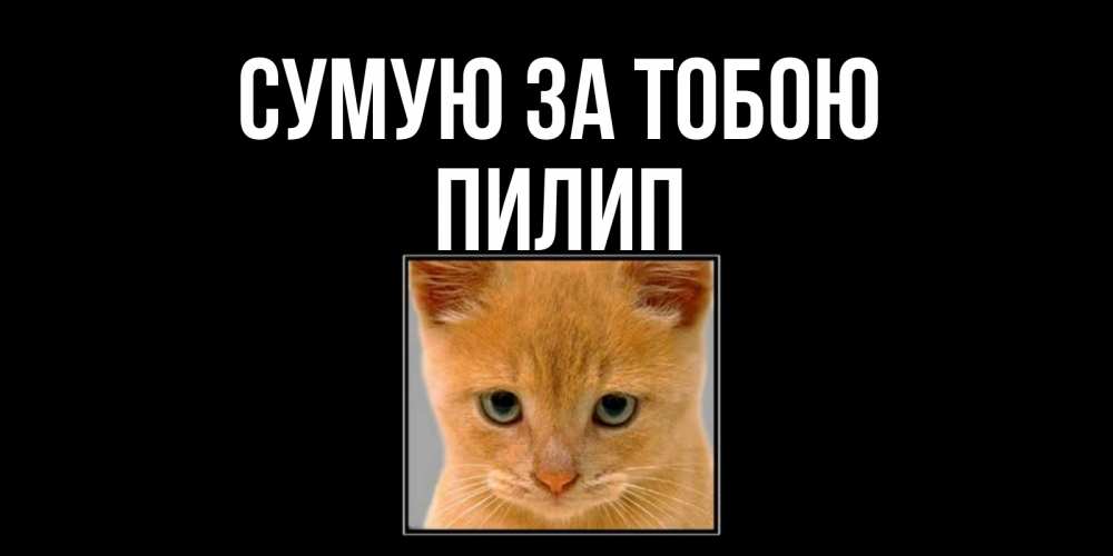 Открытка на каждый день з підписом, Пилип Сумую за тобою открытки рыжий котенок скучает по тебе Прикольна листівка з побажанням онлайн скачати безкоштовно 