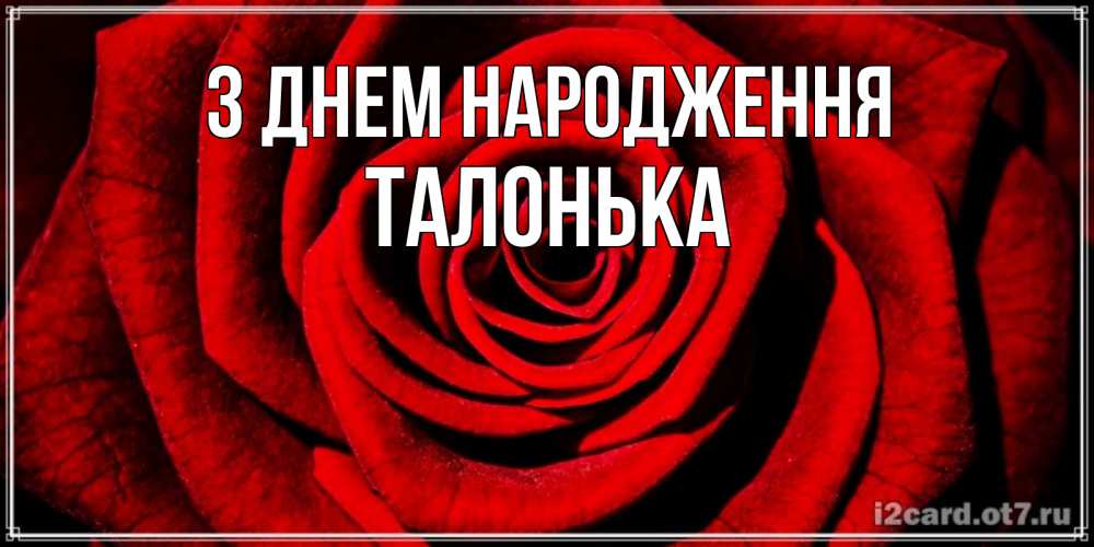 Открытка на каждый день з підписом, Талонька З Днем народження алая роза Прикольна листівка з побажанням онлайн скачати безкоштовно 