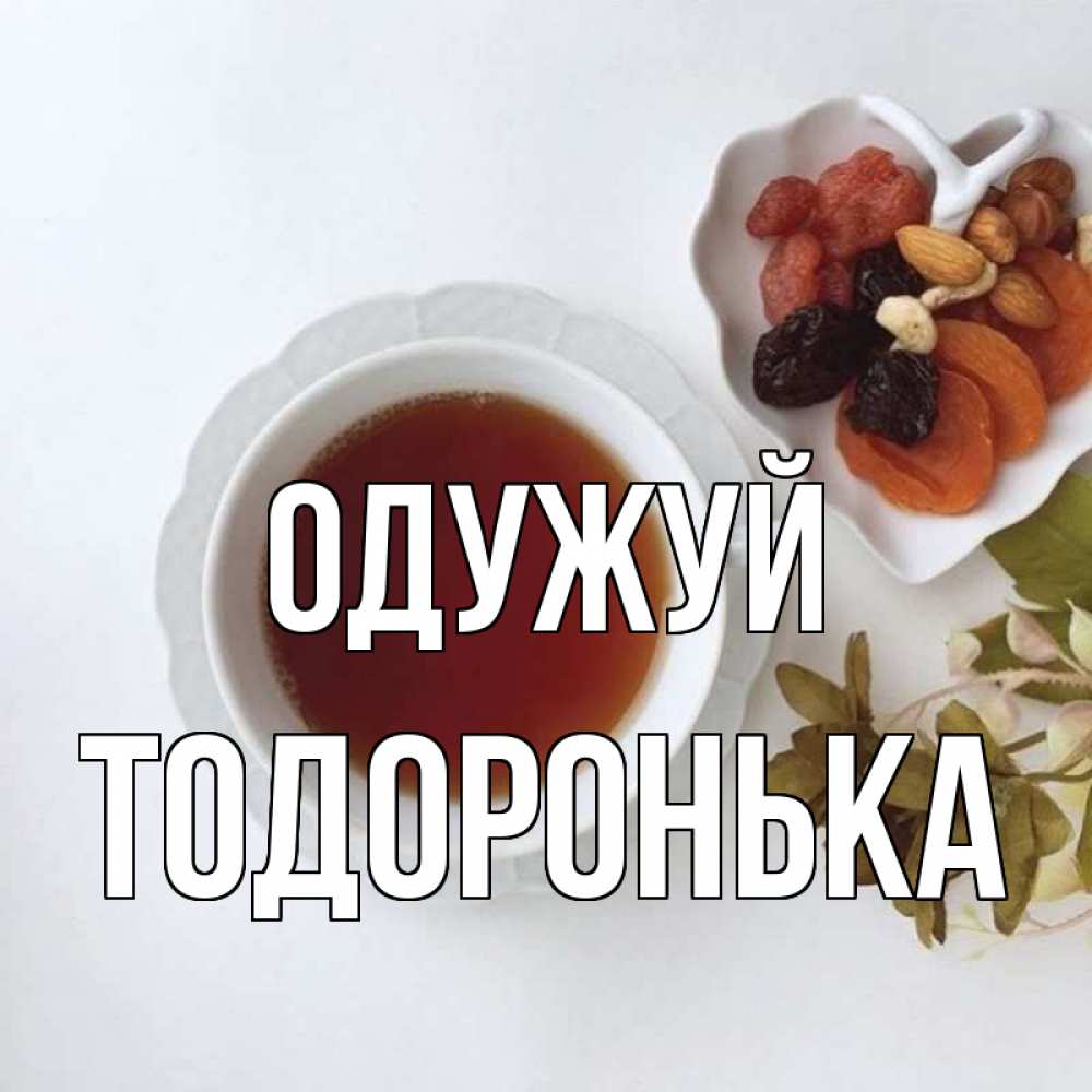 Открытка на каждый день з підписом, Тодоронька Одужуй неизвестные растения Прикольна листівка з побажанням онлайн скачати безкоштовно 