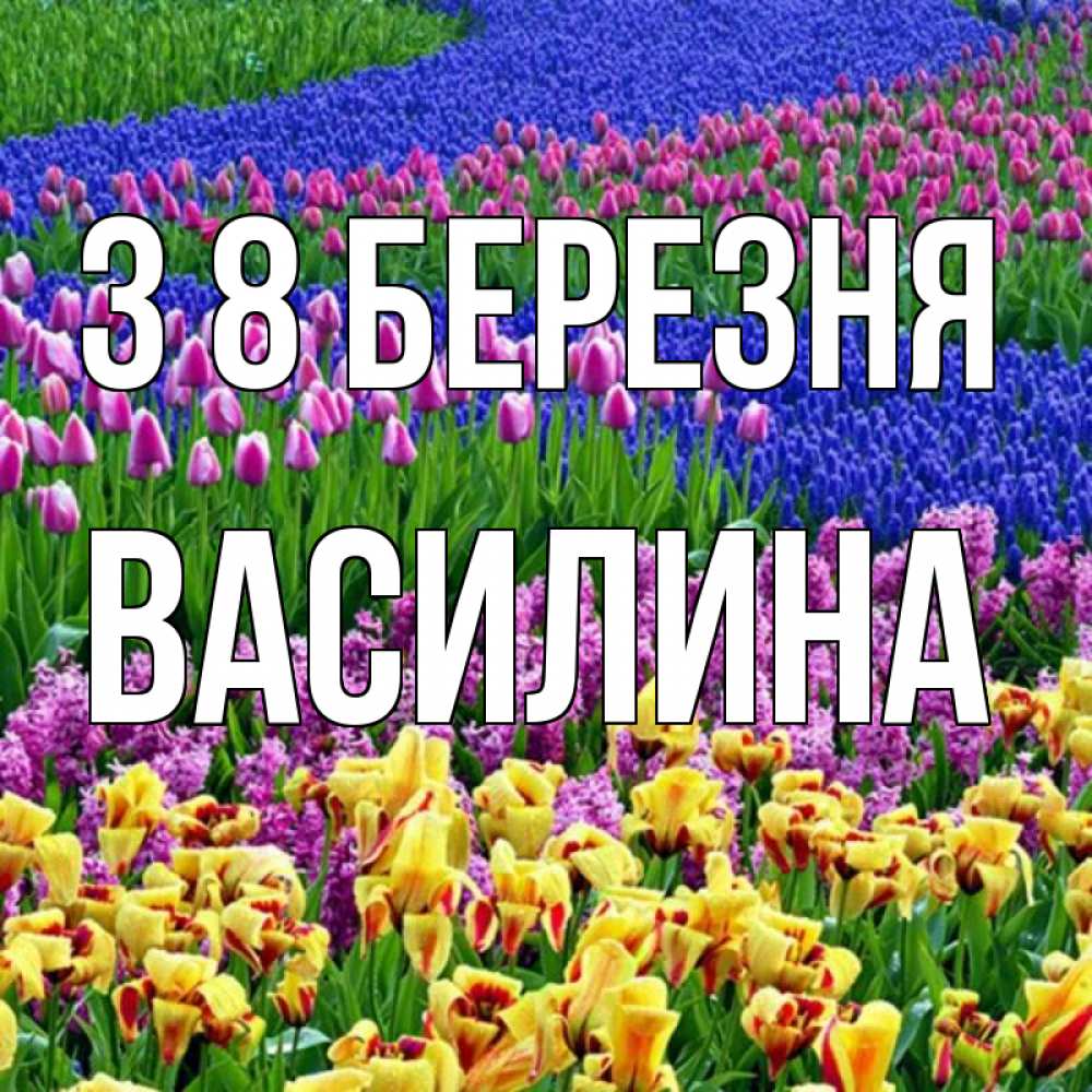 Открытка на каждый день з підписом, Василина З 8 БЕРЕЗНЯ цветы Прикольна листівка з побажанням онлайн скачати безкоштовно 