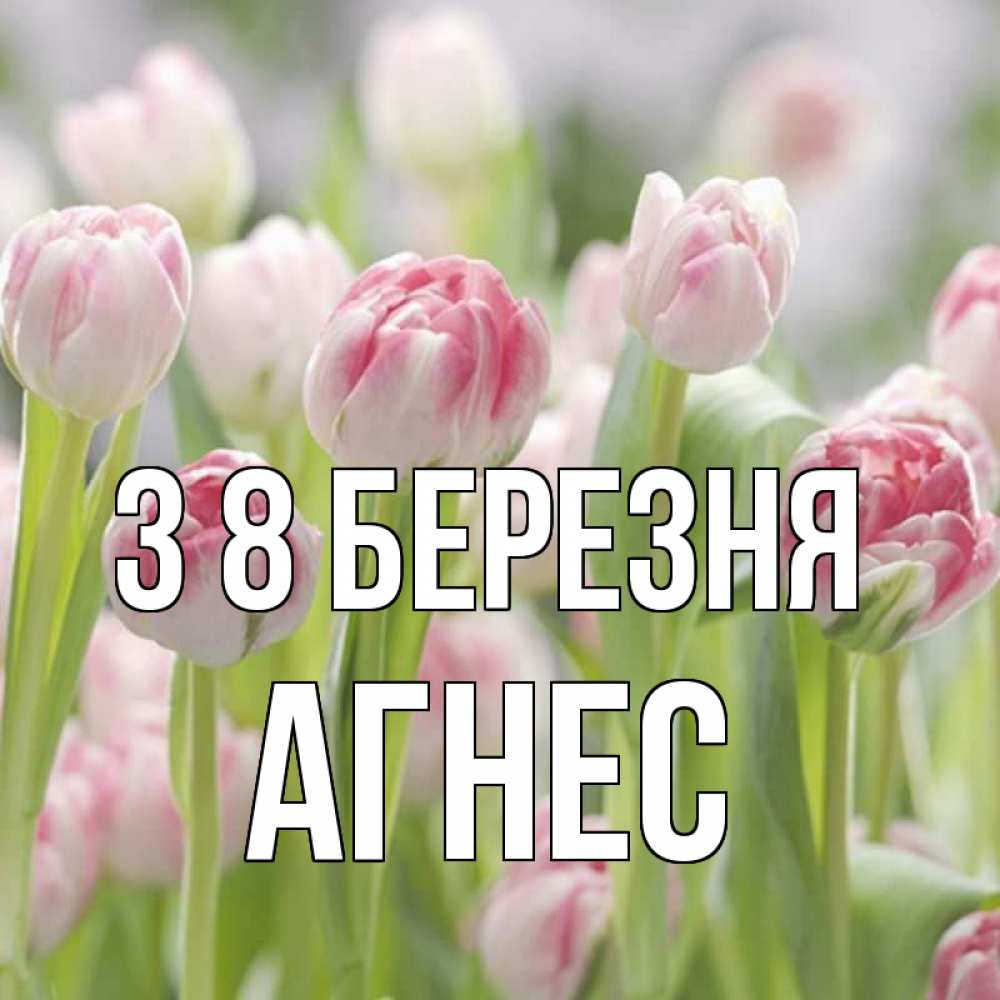 Открытка на каждый день з підписом, Агнес З 8 БЕРЕЗНЯ цветы Прикольна листівка з побажанням онлайн скачати безкоштовно 