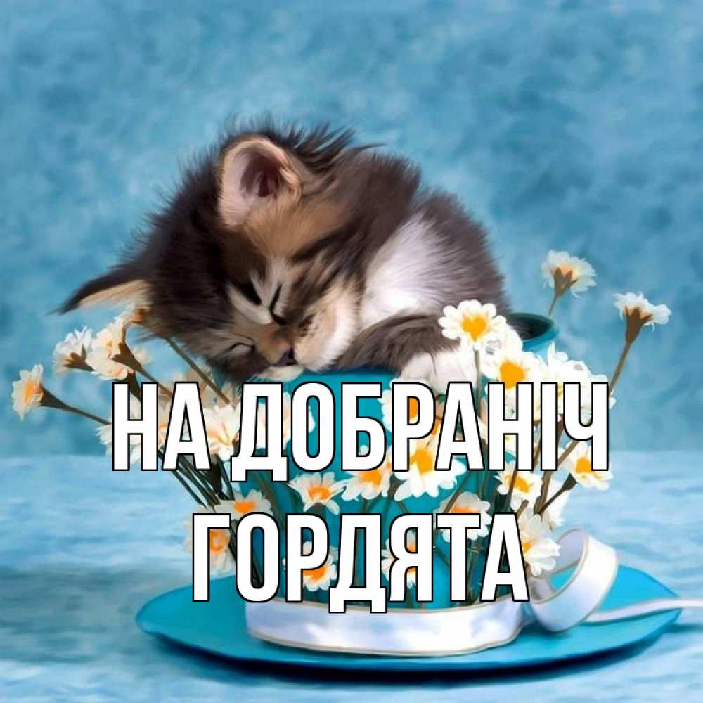 Открытка на каждый день з підписом, Гордята На добраніч котенок спит в кружке с блюдцем Прикольна листівка з побажанням онлайн скачати безкоштовно 