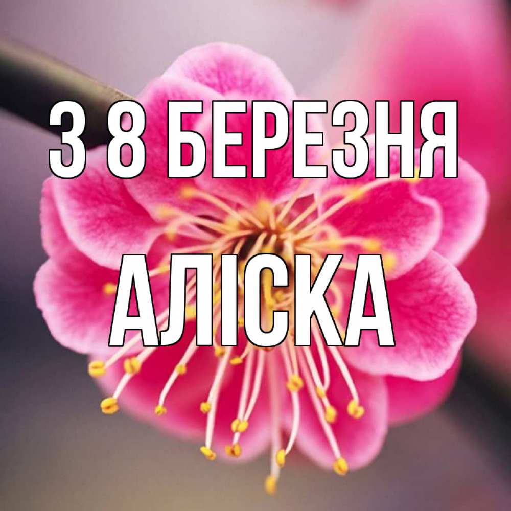 Открытка на каждый день з підписом, Аліска З 8 БЕРЕЗНЯ цветы Прикольна листівка з побажанням онлайн скачати безкоштовно 