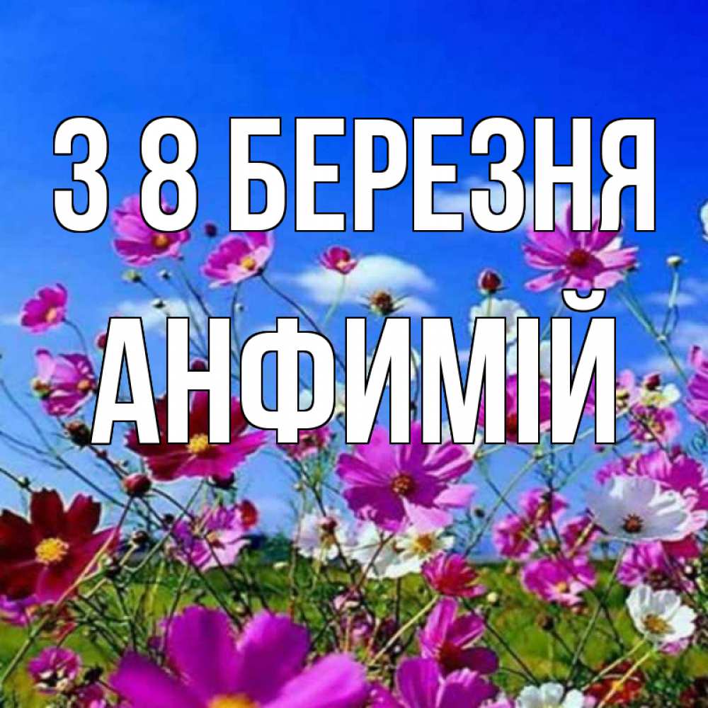Открытка на каждый день з підписом, Анфимій З 8 БЕРЕЗНЯ цветы Прикольна листівка з побажанням онлайн скачати безкоштовно 