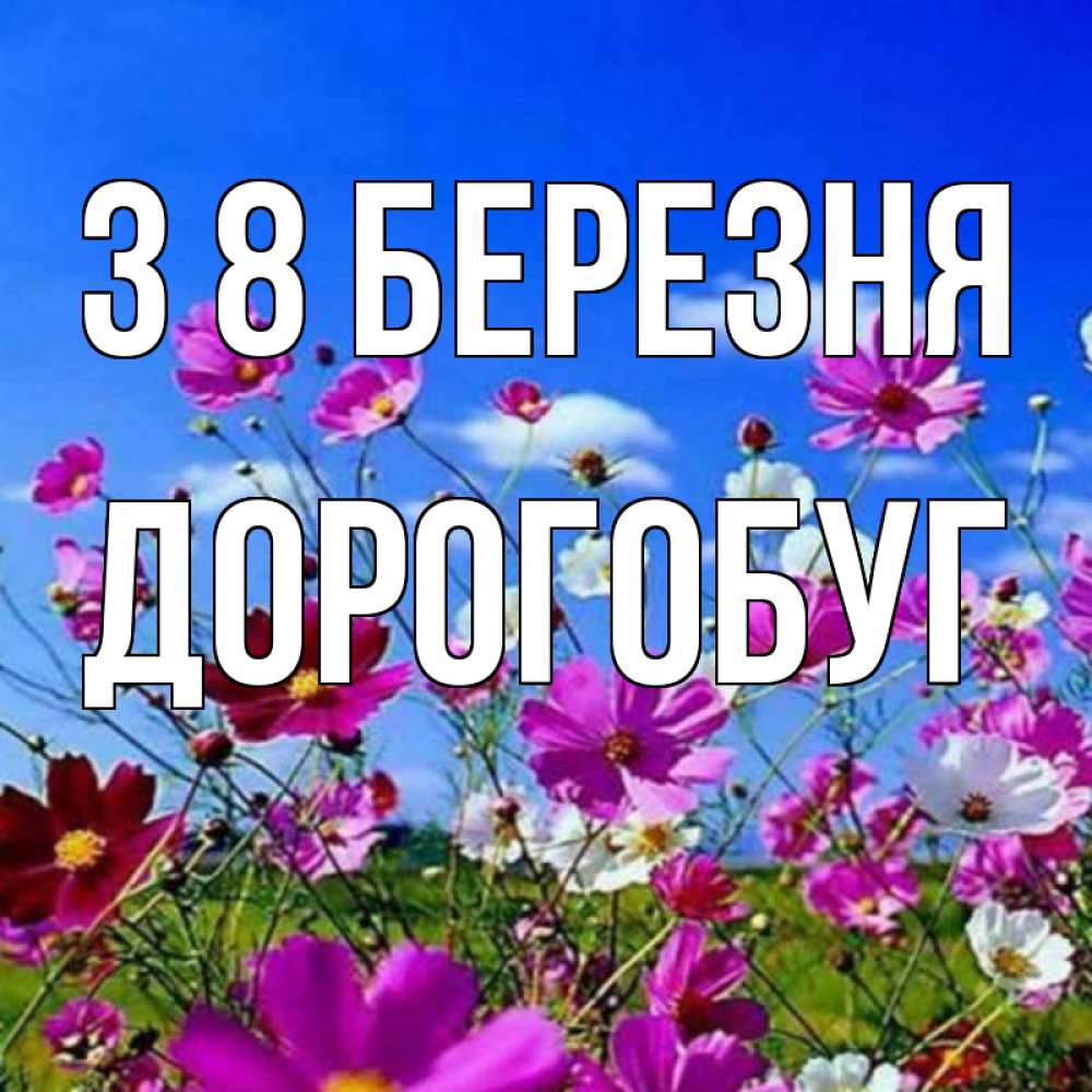 Открытка на каждый день з підписом, Дорогобуг З 8 БЕРЕЗНЯ цветы Прикольна листівка з побажанням онлайн скачати безкоштовно 