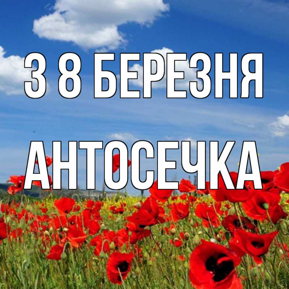 Открытка на каждый день з підписом, Антосечка З 8 БЕРЕЗНЯ международный женский день 1 Прикольна листівка з побажанням онлайн скачати безкоштовно 