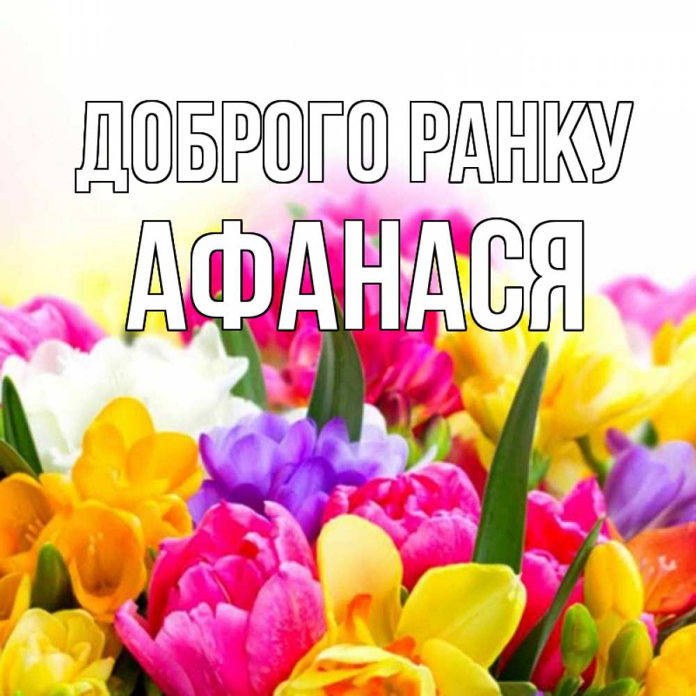 Открытка на каждый день з підписом, Афанася Доброго ранку создать открытку со свое подписью Прикольна листівка з побажанням онлайн скачати безкоштовно 