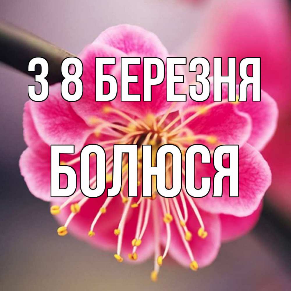 Открытка на каждый день з підписом, Болюся З 8 БЕРЕЗНЯ цветы Прикольна листівка з побажанням онлайн скачати безкоштовно 