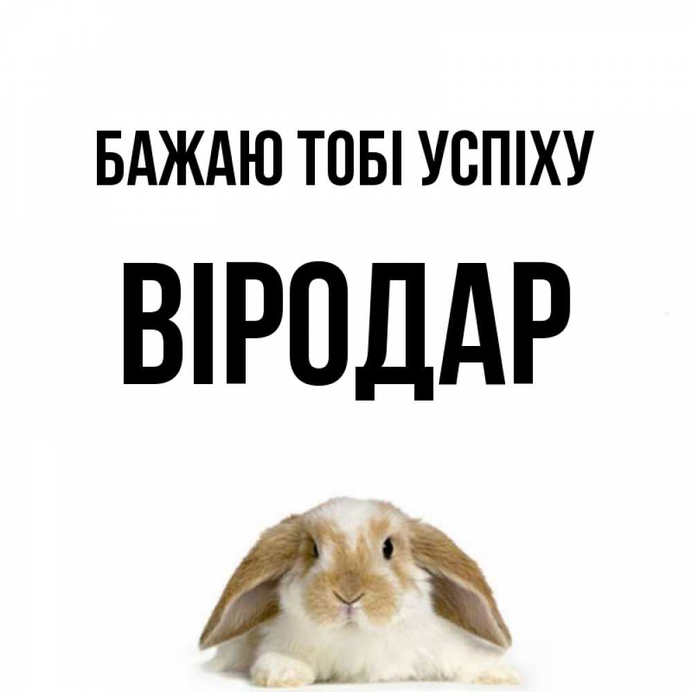 Открытка на каждый день з підписом, Віродар Бажаю тобі успіху открытки с произвольным текстом который можно вставить в открытку и создать ее самостоятельно бесплатно онлайн Прикольна листівка з побажанням онлайн скачати безкоштовно 