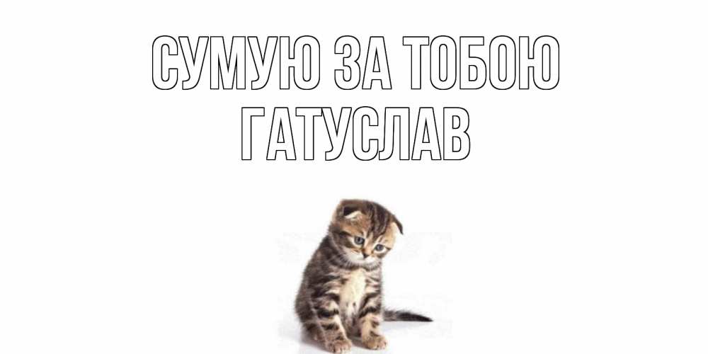 Открытка на каждый день з підписом, Гатуслав Сумую за тобою кот Прикольна листівка з побажанням онлайн скачати безкоштовно 