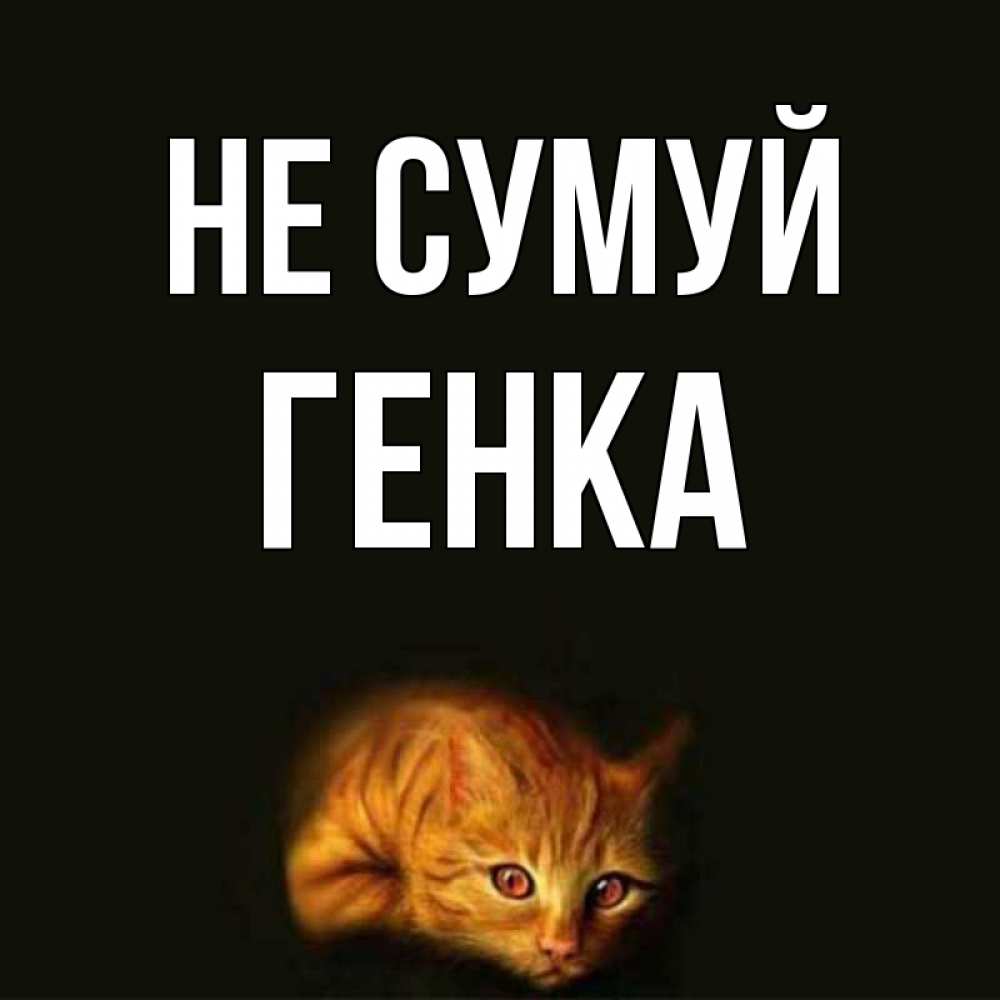 Открытка на каждый день з підписом, Генка Не сумуй лежащий кот в темноте Прикольна листівка з побажанням онлайн скачати безкоштовно 