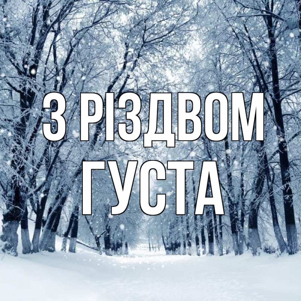 Открытка на каждый день з підписом, Густа З Різдвом снег, лес, парк Прикольна листівка з побажанням онлайн скачати безкоштовно 
