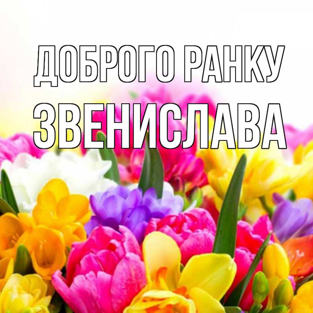 Открытка на каждый день з підписом, Звенислава Доброго ранку создать открытку со свое подписью Прикольна листівка з побажанням онлайн скачати безкоштовно 