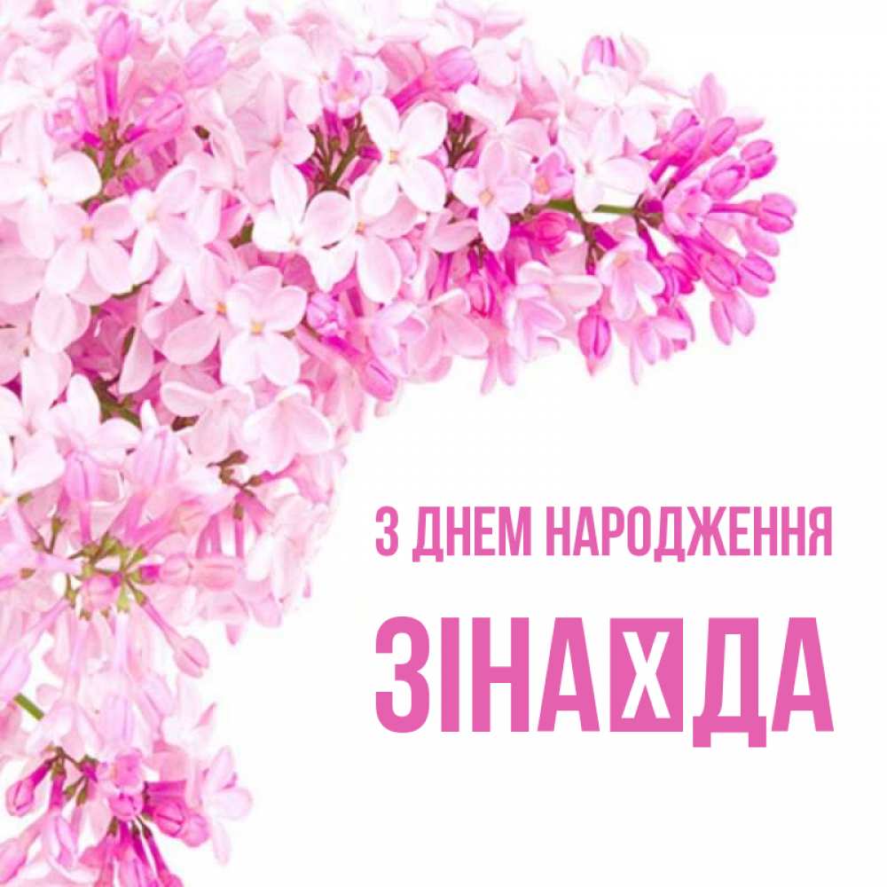 Открытка на каждый день з підписом, Зінаїда З Днем народження Сирень на белом фоне Прикольна листівка з побажанням онлайн скачати безкоштовно 