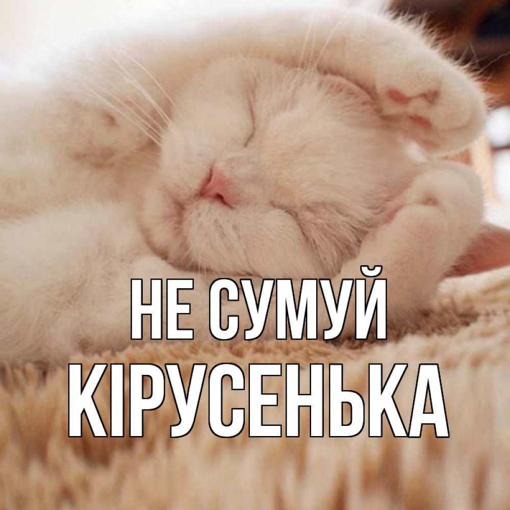 Открытка на каждый день з підписом, Кірусенька Не сумуй белый кот Прикольна листівка з побажанням онлайн скачати безкоштовно 