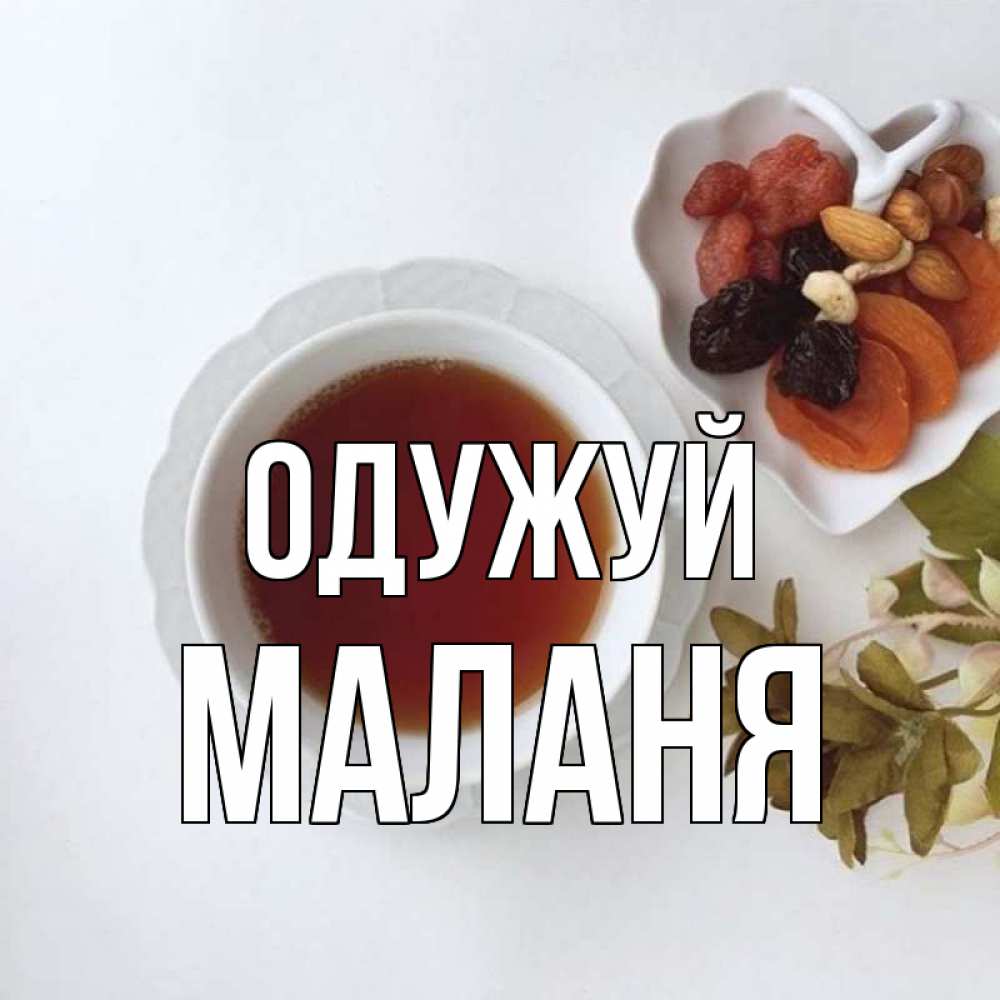 Открытка на каждый день з підписом, Маланя Одужуй неизвестные растения Прикольна листівка з побажанням онлайн скачати безкоштовно 