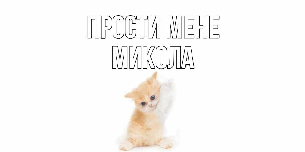 Открытка на каждый день з підписом, Микола Прости мене кот Прикольна листівка з побажанням онлайн скачати безкоштовно 
