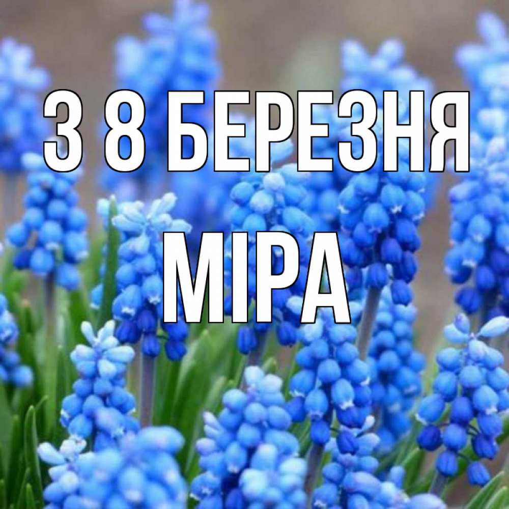 Открытка на каждый день з підписом, Міра З 8 БЕРЕЗНЯ Поздравительная открытка для женщин с цветами на праздничную дату Прикольна листівка з побажанням онлайн скачати безкоштовно 