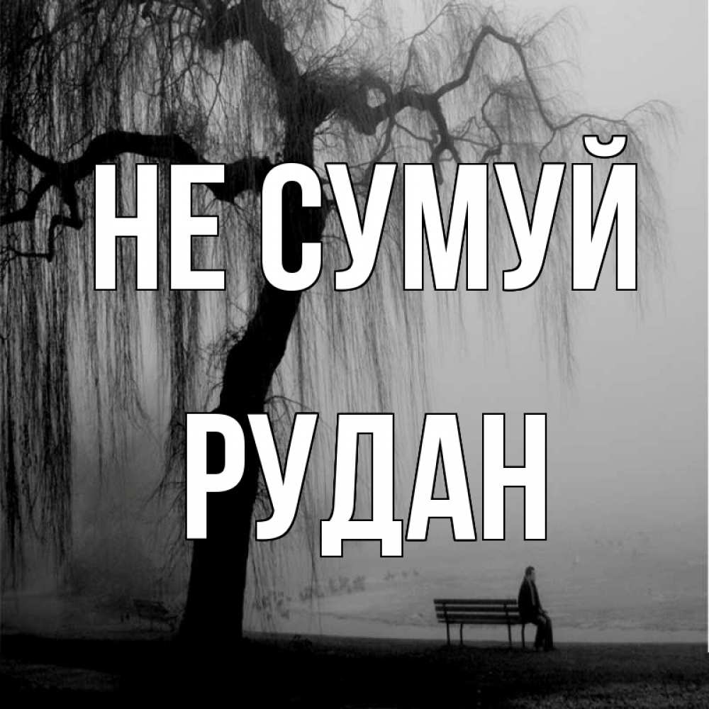 Открытка на каждый день з підписом, Рудан Не сумуй висящие ветки дерева и лавочка под деревом Прикольна листівка з побажанням онлайн скачати безкоштовно 