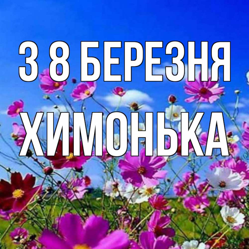 Открытка на каждый день з підписом, Химонька З 8 БЕРЕЗНЯ цветы Прикольна листівка з побажанням онлайн скачати безкоштовно 