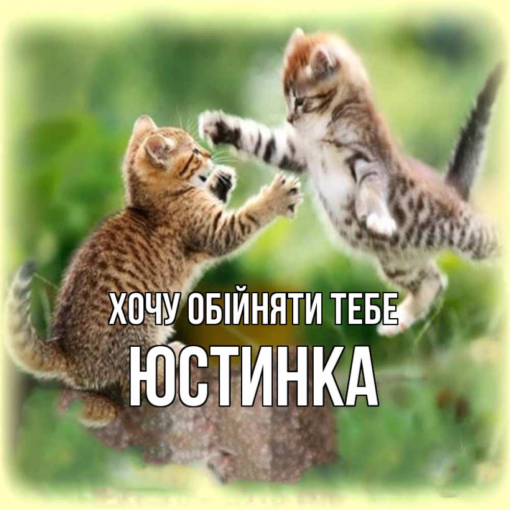 Открытка на каждый день з підписом, Юстинка Хочу обійняти тебе игры котят Прикольна листівка з побажанням онлайн скачати безкоштовно 
