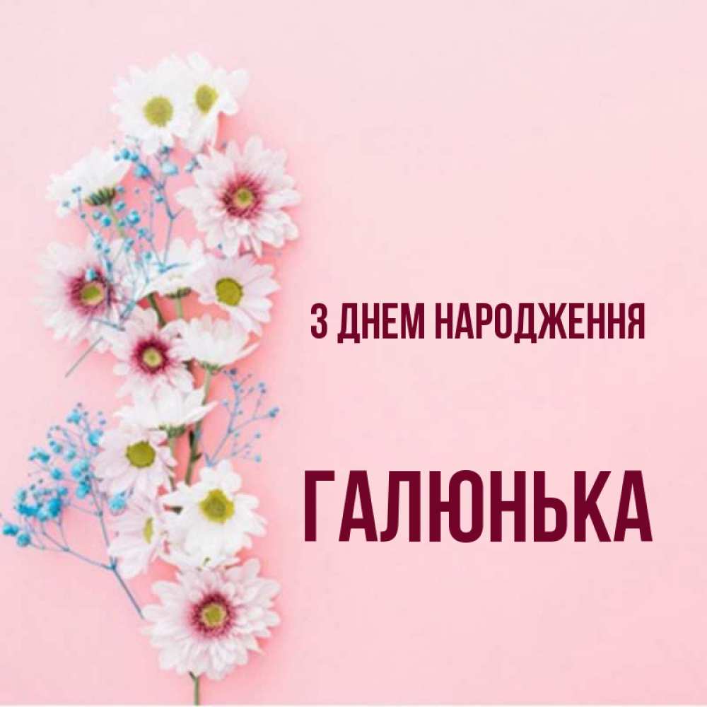 Открытка на каждый день з підписом, Галюнька З Днем народження Родная моя с днем рождения тебя картинка с цветами белыми и голубыми Прикольна листівка з побажанням онлайн скачати безкоштовно 