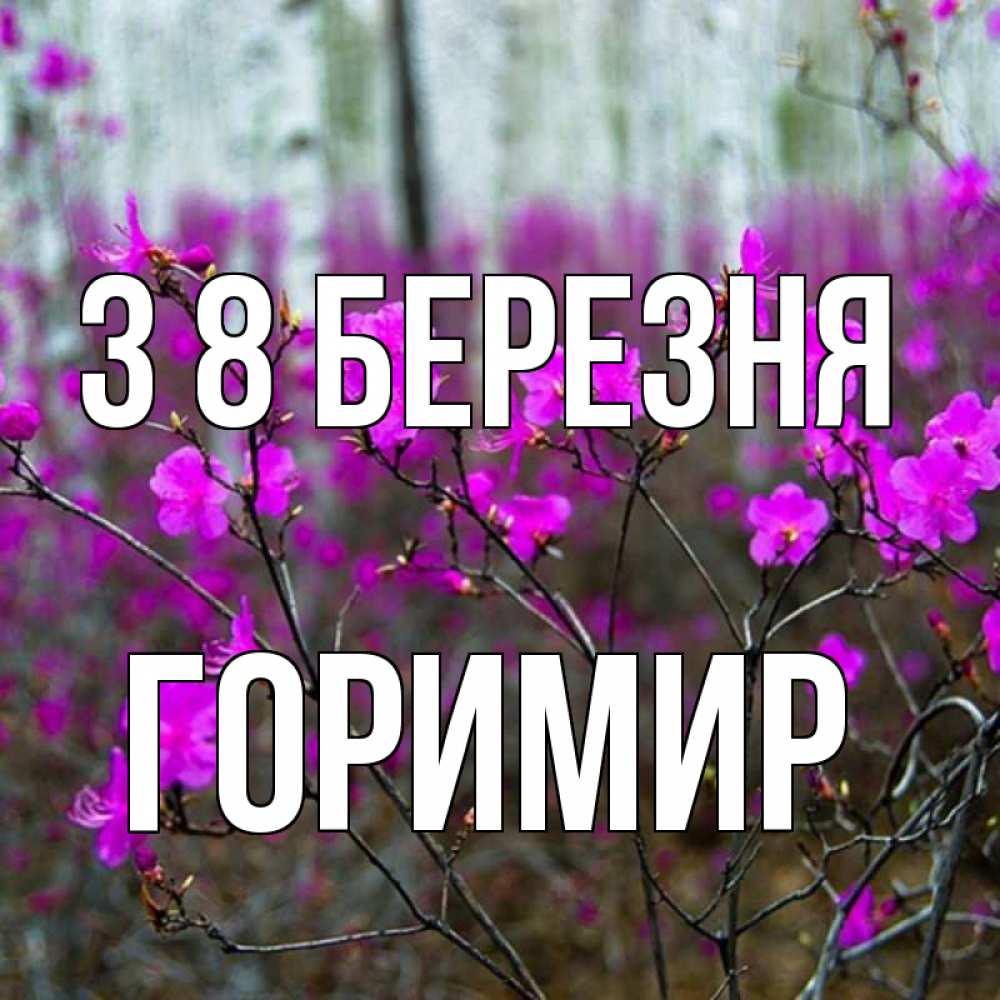 Открытка на каждый день з підписом, Горимир З 8 БЕРЕЗНЯ дикие цветы Прикольна листівка з побажанням онлайн скачати безкоштовно 