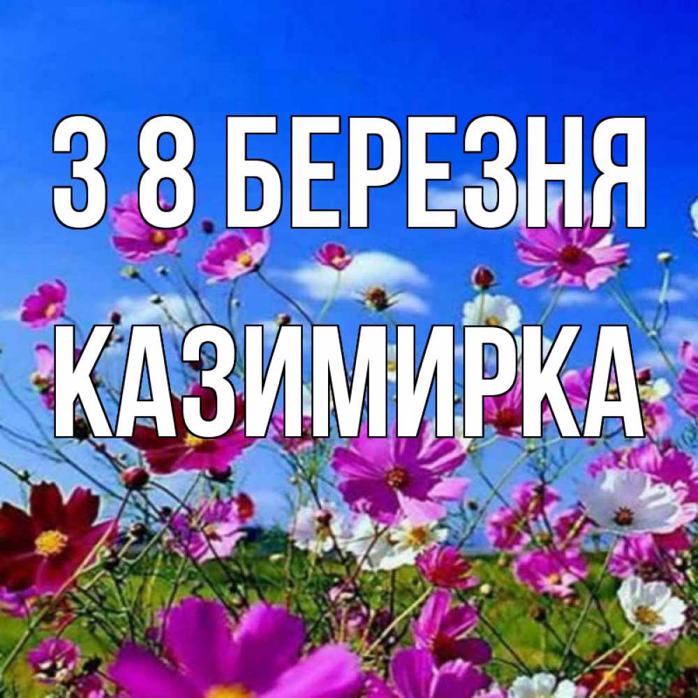 Открытка на каждый день з підписом, Казимирка З 8 БЕРЕЗНЯ цветы Прикольна листівка з побажанням онлайн скачати безкоштовно 