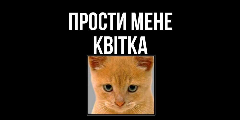 Открытка на каждый день з підписом, Квітка Прости мене рыжий грустный кот просит прощения Прикольна листівка з побажанням онлайн скачати безкоштовно 