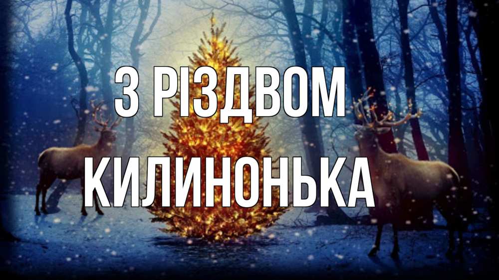 Открытка на каждый день з підписом, Килинонька З Різдвом олени, новогодняя елка Прикольна листівка з побажанням онлайн скачати безкоштовно 