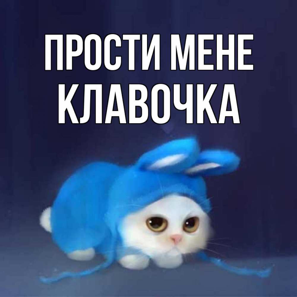 Открытка на каждый день з підписом, Клавочка Прости мене невинный котозай просит прощения Прикольна листівка з побажанням онлайн скачати безкоштовно 