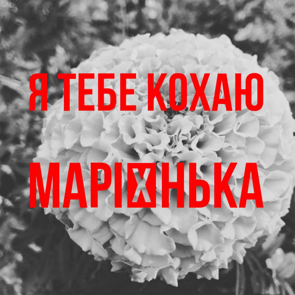 Открытка на каждый день з підписом, Марієнька Я тебе кохаю подпись Прикольна листівка з побажанням онлайн скачати безкоштовно 