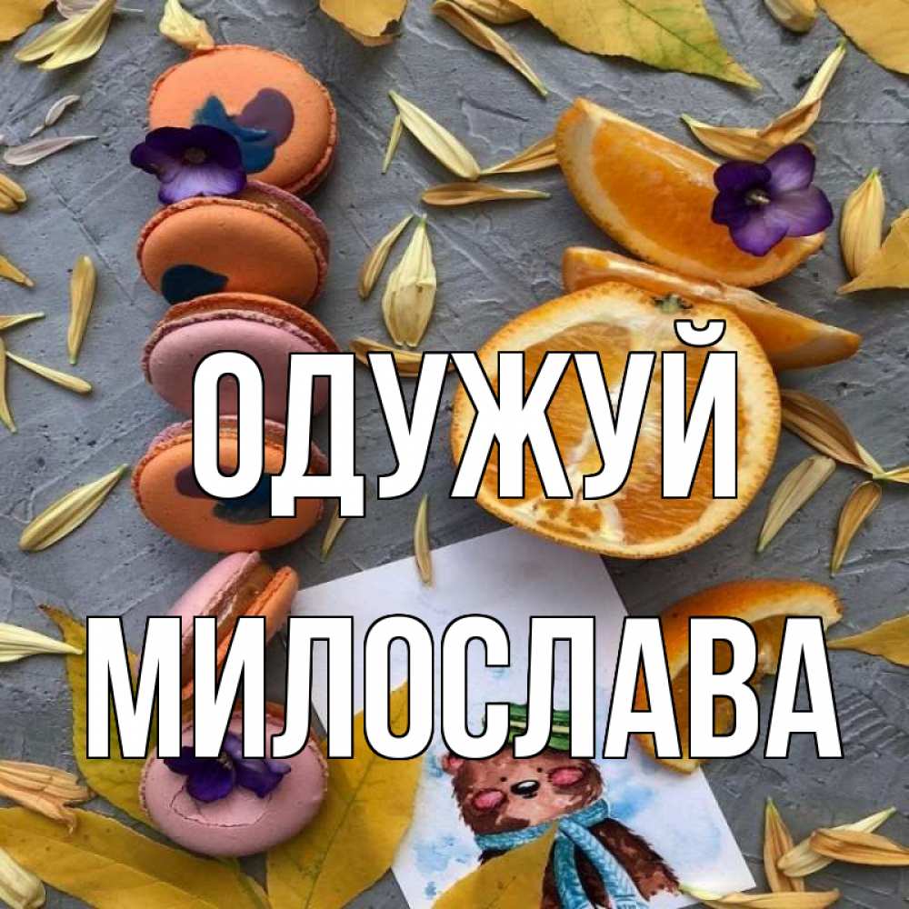 Открытка на каждый день з підписом, Милослава Одужуй не болейте Прикольна листівка з побажанням онлайн скачати безкоштовно 